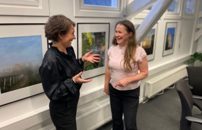 Organizational Development