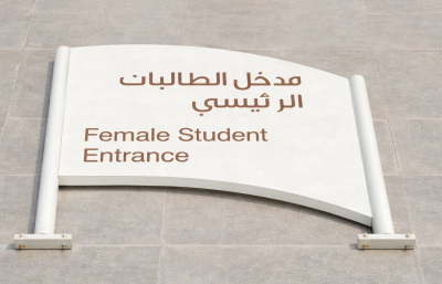 Using Your Voice in Challenging Spaces